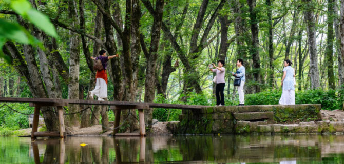 西溪湿地景美醉游人