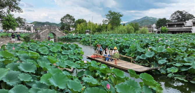 夏日乐游永兴湖
