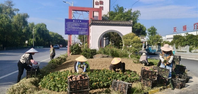 满城盛装迎国庆