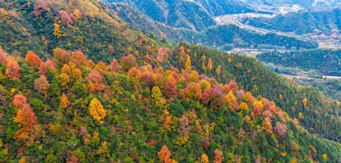 初冬山林美如画