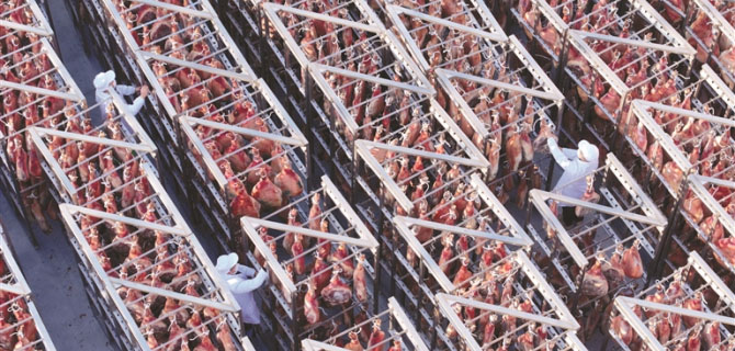 岁末年终 腊味飘香